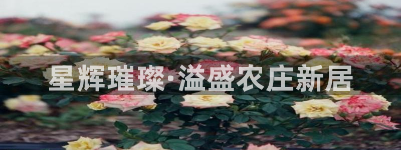 手机上怎么下载天辰娱乐