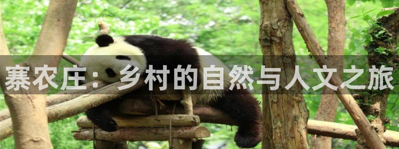 下载天辰娱乐