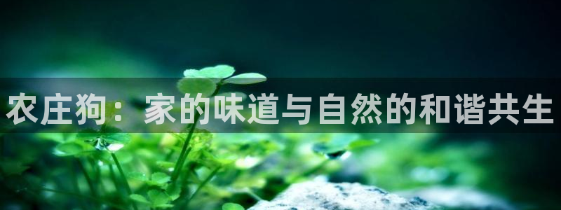 天辰娱乐_675138