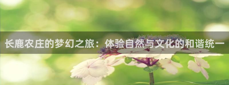 天辰2娱乐
