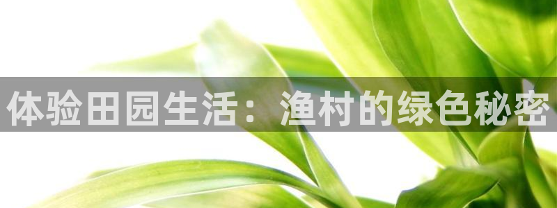 天辰娱乐天辰宝