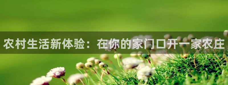 天辰娱乐平台地址