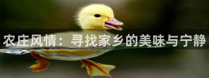 天辰娱乐 39974