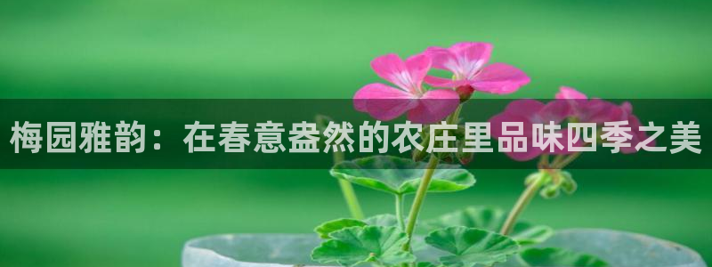 天辰娱乐赌博