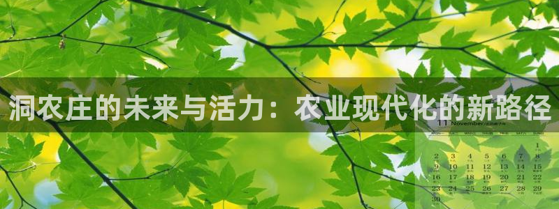 天辰娱乐ttf