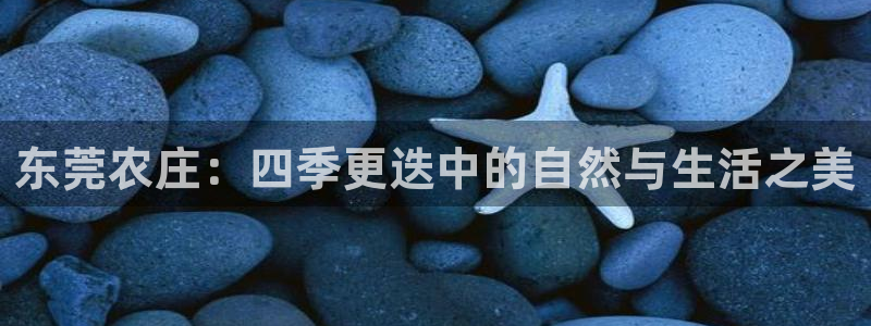 天辰娱乐10086