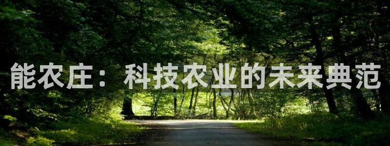 天辰娱乐1980