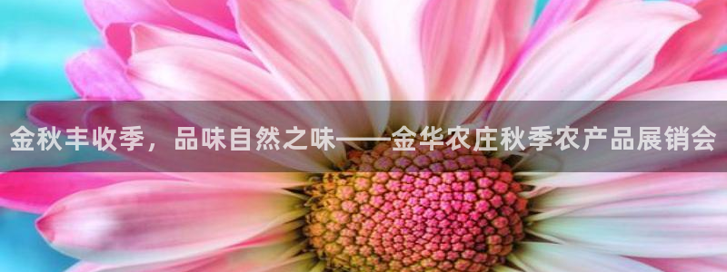 nba天辰娱乐