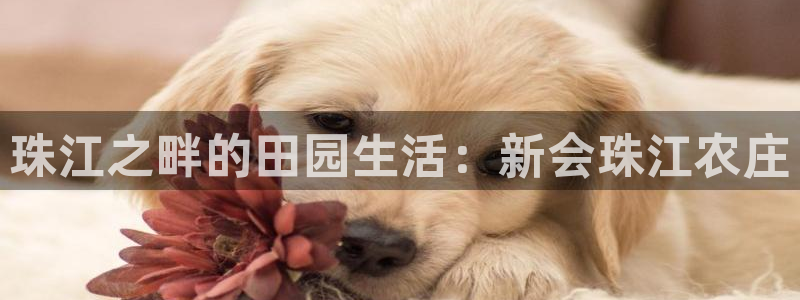 天辰辰娱乐代理