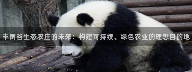 手机上怎么下载天辰娱乐