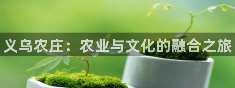 天辰娱乐的网址首页