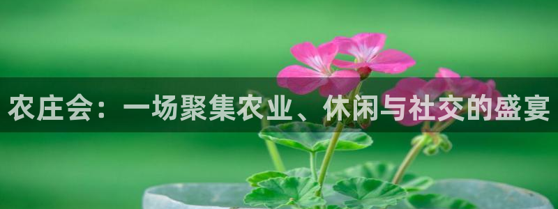 天辰娱乐娱乐注册