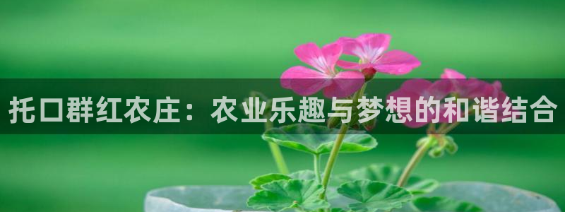 菲律宾天辰娱乐