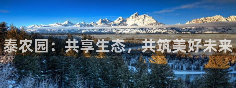 天辰娱乐跑的快