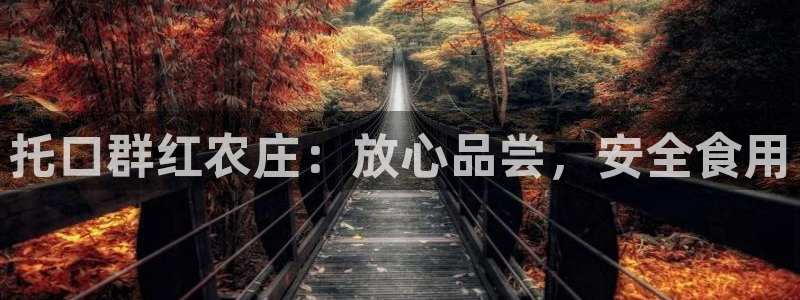 天辰娱乐登录网址